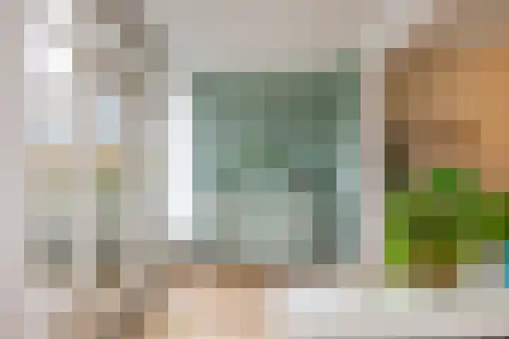Meester Cornelisstraat 66 ZW Haarlem thumbnail 15