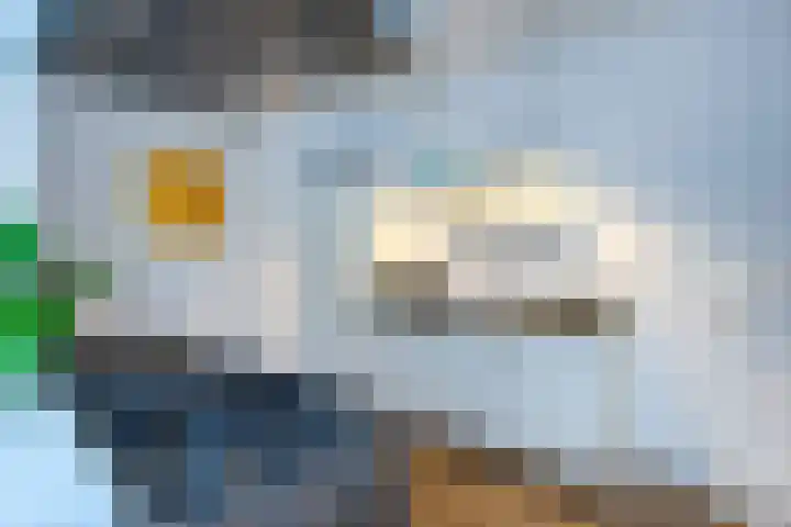 Meester Cornelisstraat 66 ZW Haarlem thumbnail 17