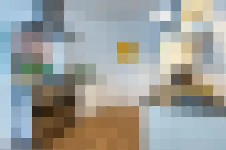 Meester Cornelisstraat 66 ZW Haarlem thumbnail 18