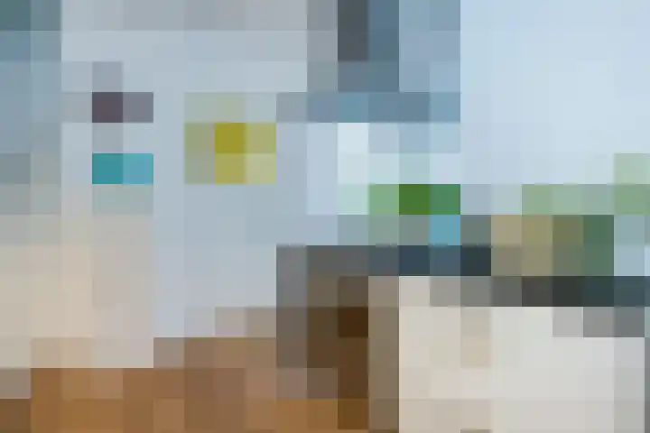 Meester Cornelisstraat 66 ZW Haarlem thumbnail 19