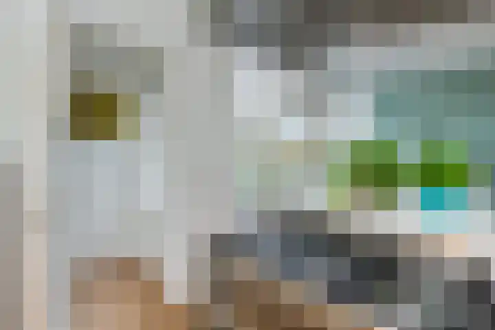 Meester Cornelisstraat 66 ZW Haarlem thumbnail 20
