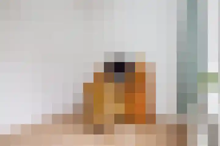 Meester Cornelisstraat 66 ZW Haarlem thumbnail 27