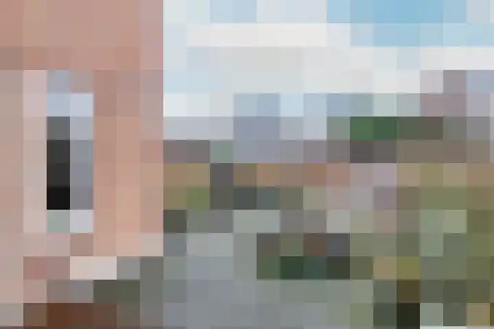 Meester Cornelisstraat 66 ZW Haarlem thumbnail 32