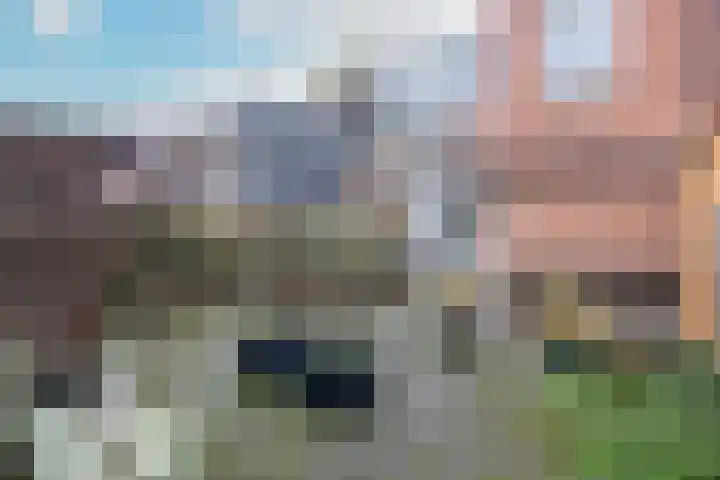 Meester Cornelisstraat 66 ZW Haarlem thumbnail 35