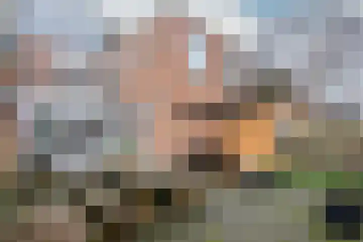 Meester Cornelisstraat 66 ZW Haarlem thumbnail 36