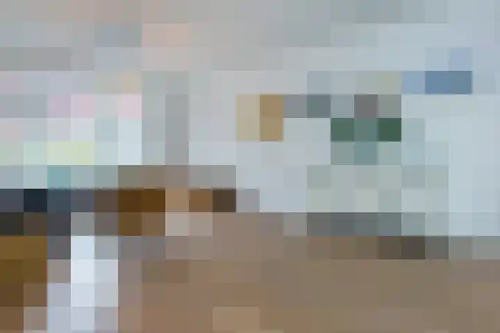 Meester Cornelisstraat 66 ZW Haarlem thumbnail 5