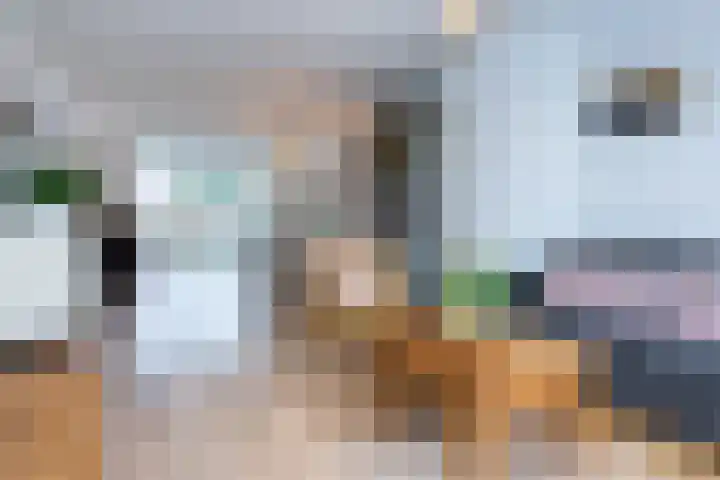 Meester Cornelisstraat 66 ZW Haarlem thumbnail 6