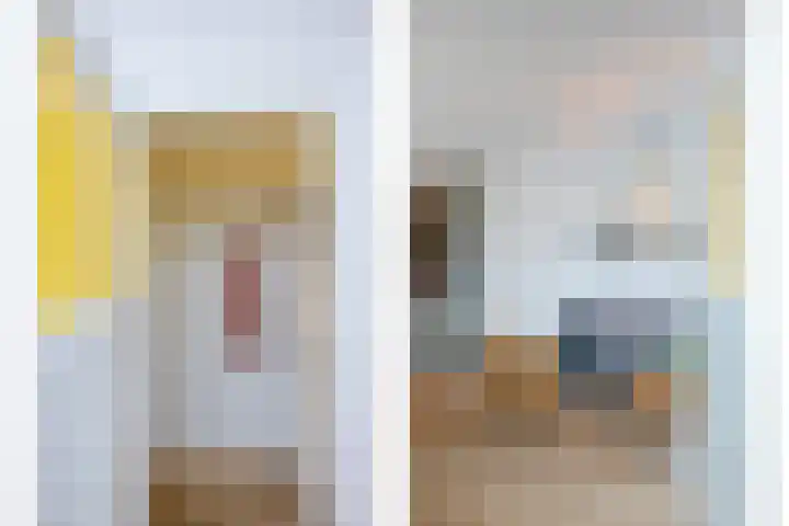 Meester Cornelisstraat 66 ZW Haarlem thumbnail 9