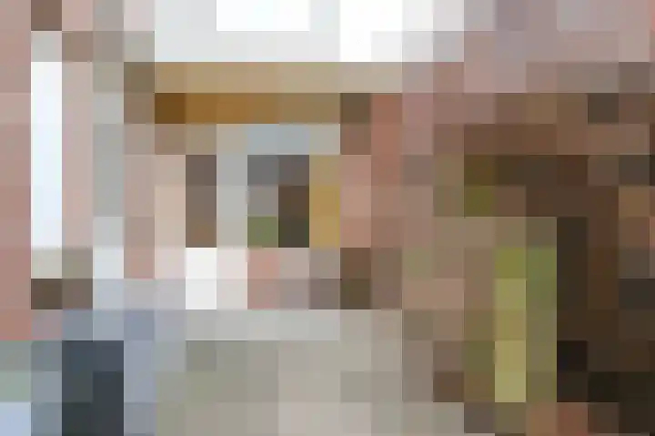 Meester Cornelisstraat 76 ZW Haarlem thumbnail 23
