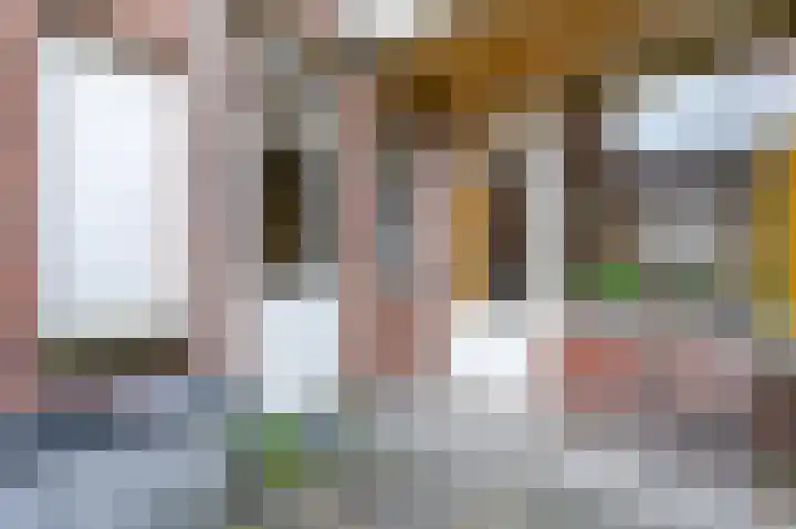 Meester Cornelisstraat 76 ZW Haarlem thumbnail 24