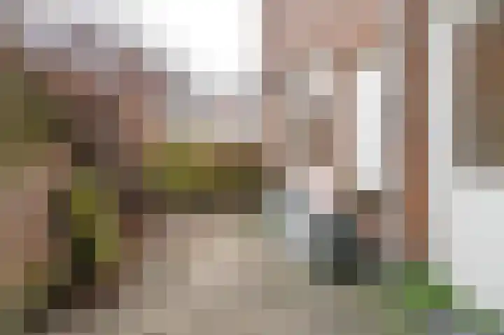 Meester Cornelisstraat 76 ZW Haarlem thumbnail 4