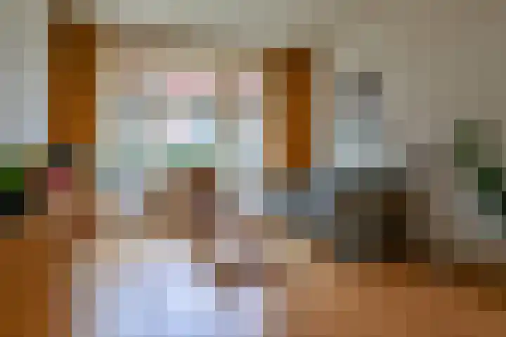 Meester Cornelisstraat 76 ZW Haarlem thumbnail 9