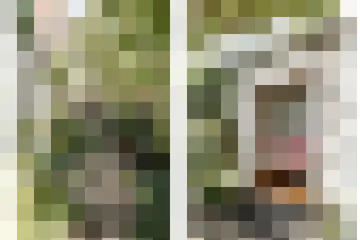 Meester Cornelisstraat 80 ZW Haarlem thumbnail 22