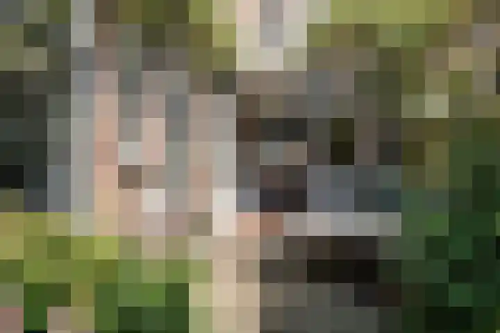 Meester Cornelisstraat 80 ZW Haarlem thumbnail 4