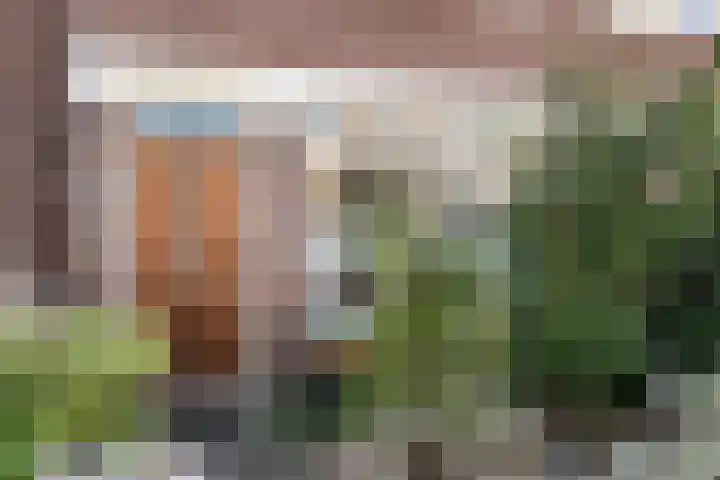 Meester Cornelisstraat 80 ZW Haarlem thumbnail 40