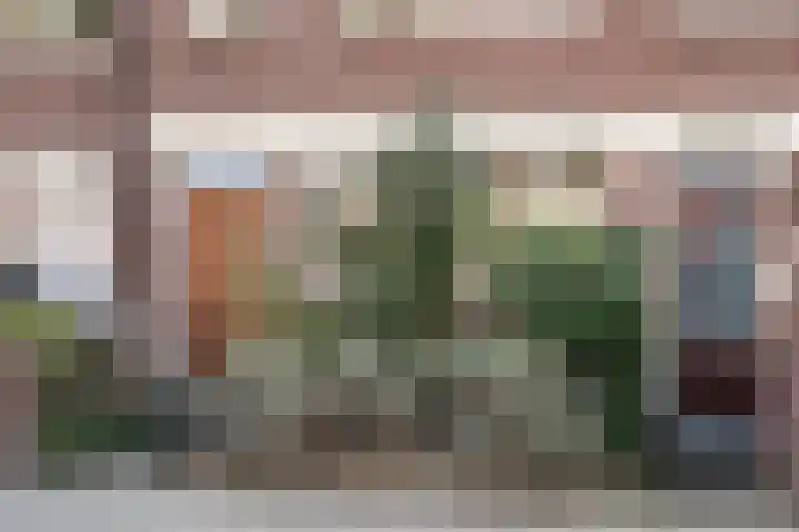 Meester Cornelisstraat 80 ZW Haarlem thumbnail 41