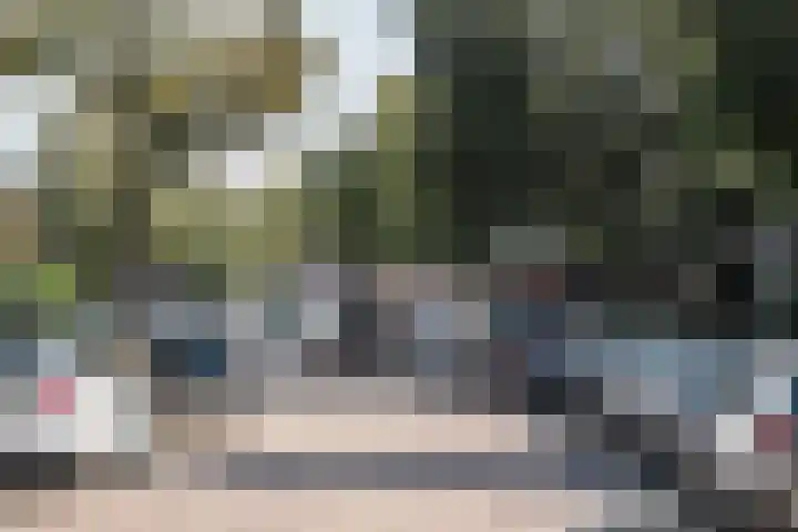 Meester Cornelisstraat 80 ZW Haarlem thumbnail 42