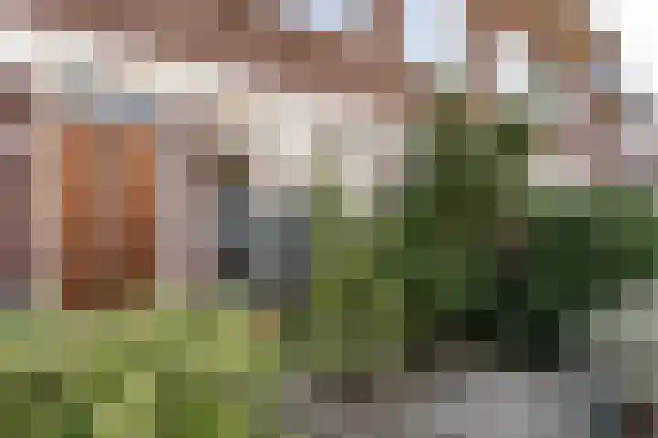 Meester Cornelisstraat 80 ZW Haarlem thumbnail 8
