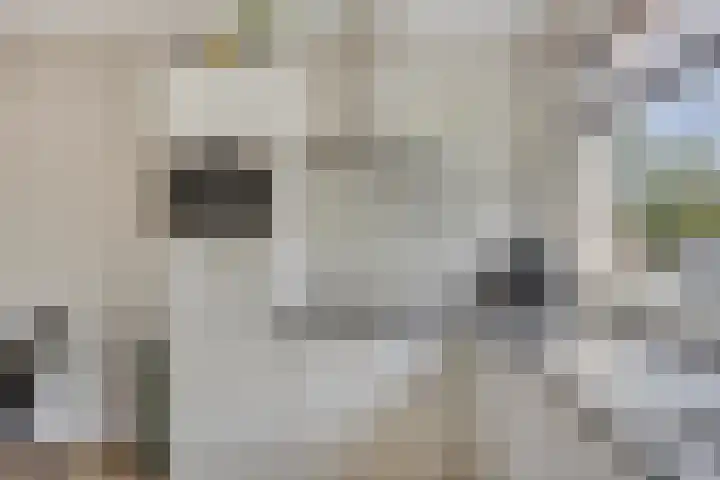 Meester Cruijsberghof 1 Grashoek thumbnail 12