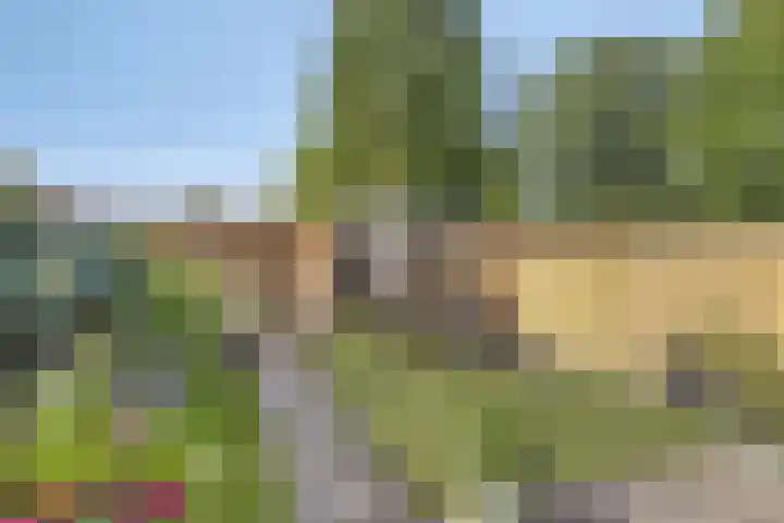 Meester Cruijsberghof 1 Grashoek thumbnail 23