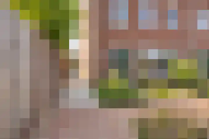 Meester Cruijsberghof 1 Grashoek thumbnail 28