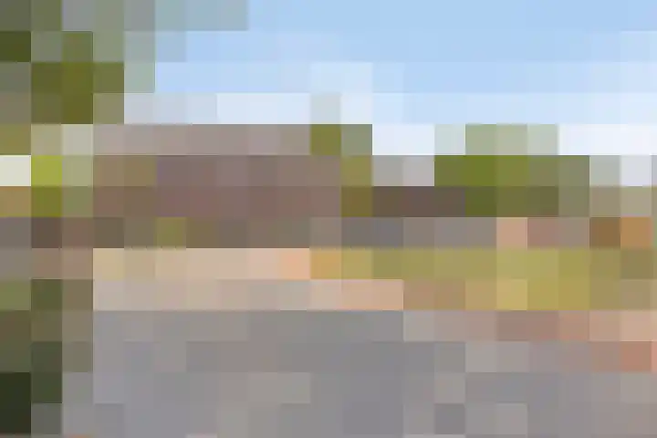 Meester Cruijsberghof 1 Grashoek thumbnail 29