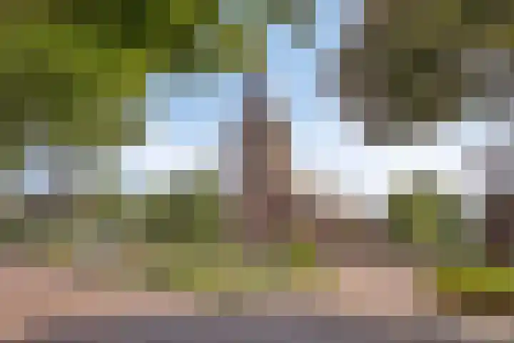 Meester Cruijsberghof 1 Grashoek thumbnail 30