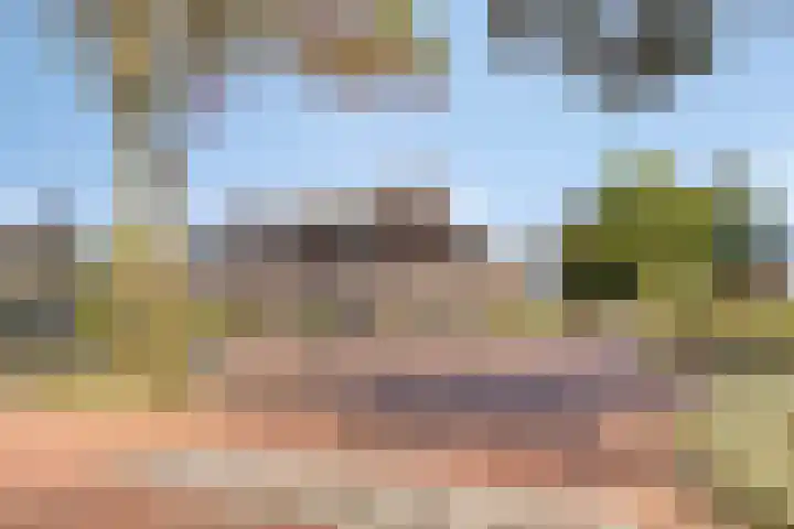 Meester Cruijsberghof 1 Grashoek thumbnail 31