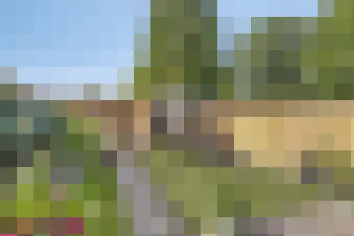 Meester Cruijsberghof 1 Grashoek thumbnail 4