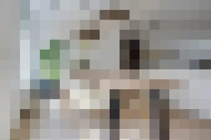 Meester de Coloniastraat 6 's-Hertogenbosch thumbnail 13