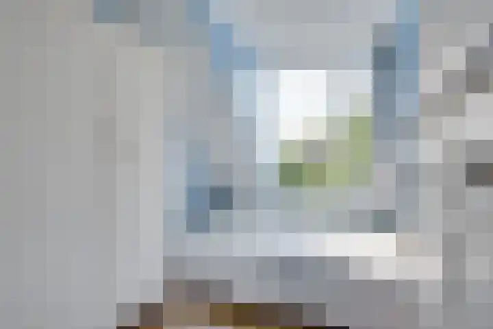 Meester de Coloniastraat 6 's-Hertogenbosch thumbnail 20