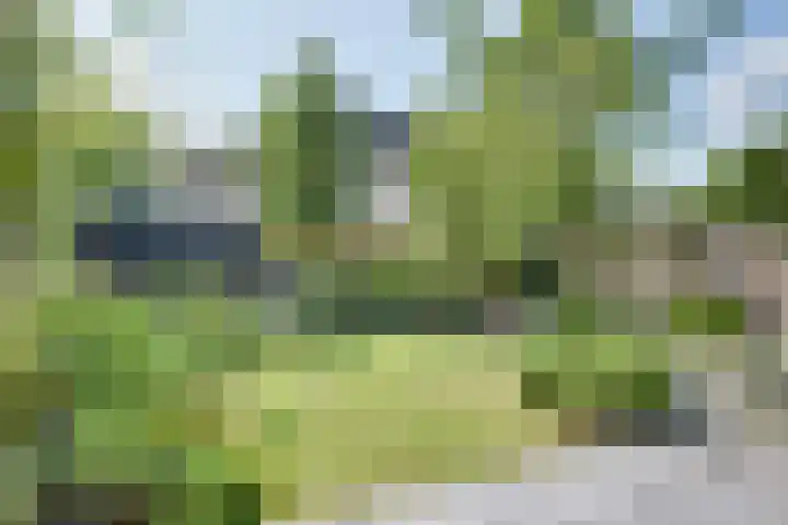 Meester de Coloniastraat 6 's-Hertogenbosch thumbnail 27