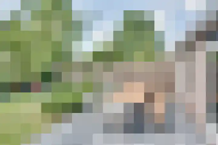 Meester de Coloniastraat 6 's-Hertogenbosch thumbnail 28