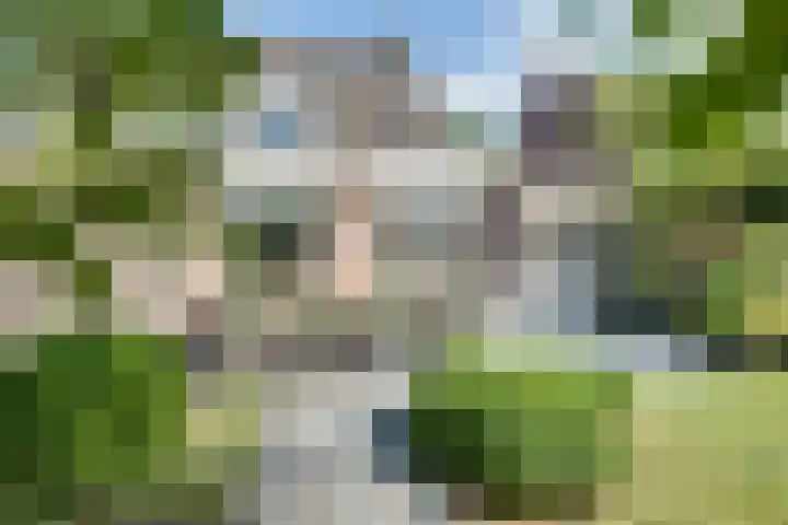Meester de Coloniastraat 6 's-Hertogenbosch thumbnail 30