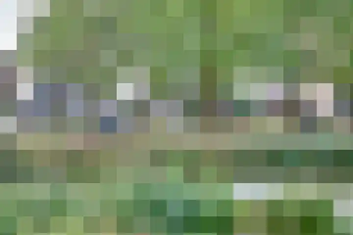 Meester de Coloniastraat 6 's-Hertogenbosch thumbnail 31