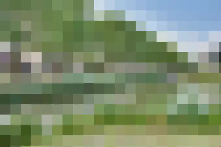 Meester de Coloniastraat 6 's-Hertogenbosch thumbnail 32