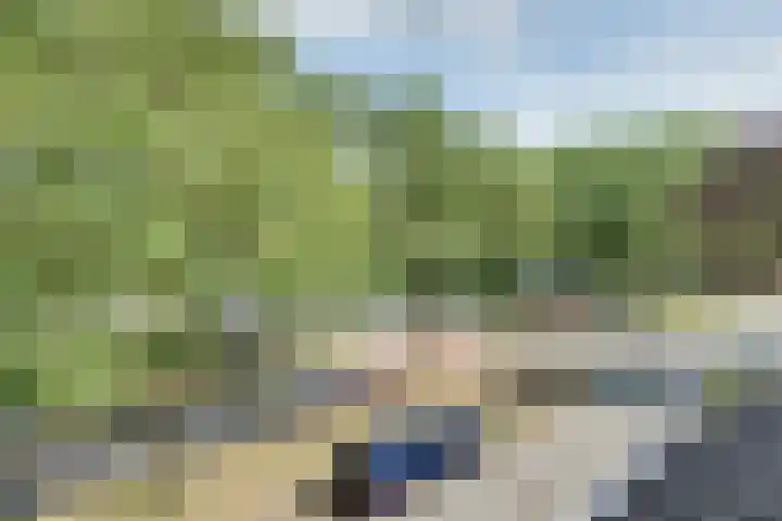 Meester de Coloniastraat 6 's-Hertogenbosch thumbnail 33