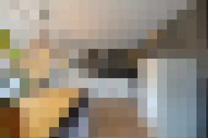 Meester de Groetlaan 3 's-Hertogenbosch thumbnail 10