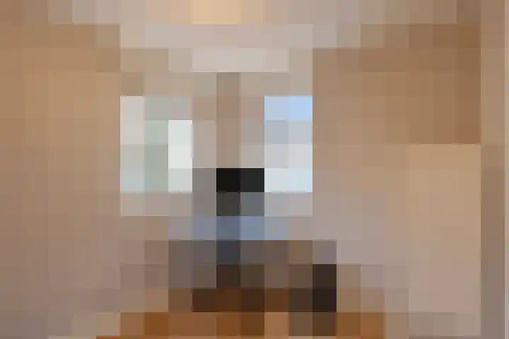 Meester de Groetlaan 3 's-Hertogenbosch thumbnail 13