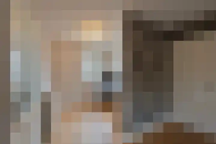 Meester de Groetlaan 3 's-Hertogenbosch thumbnail 14