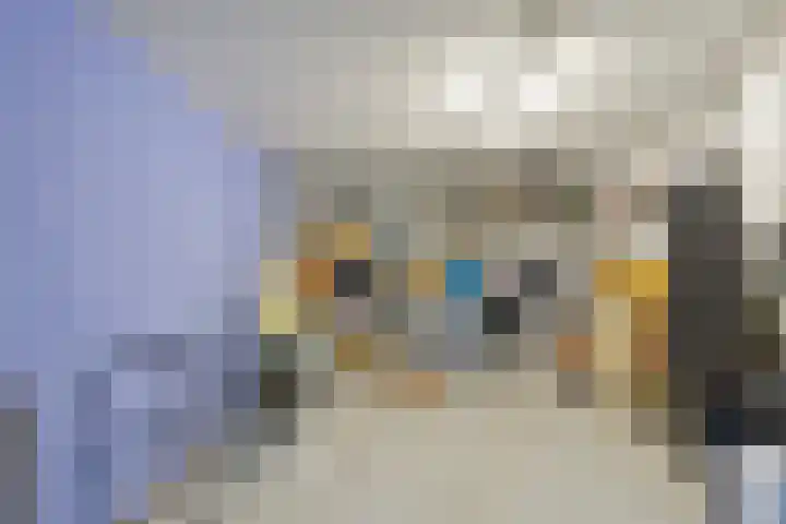 Meester de Groetlaan 3 's-Hertogenbosch thumbnail 16