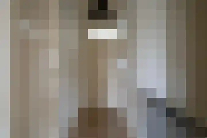 Meester de Groetlaan 3 's-Hertogenbosch thumbnail 20