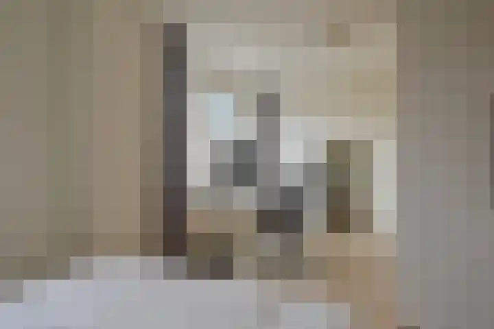 Meester de Groetlaan 3 's-Hertogenbosch thumbnail 22