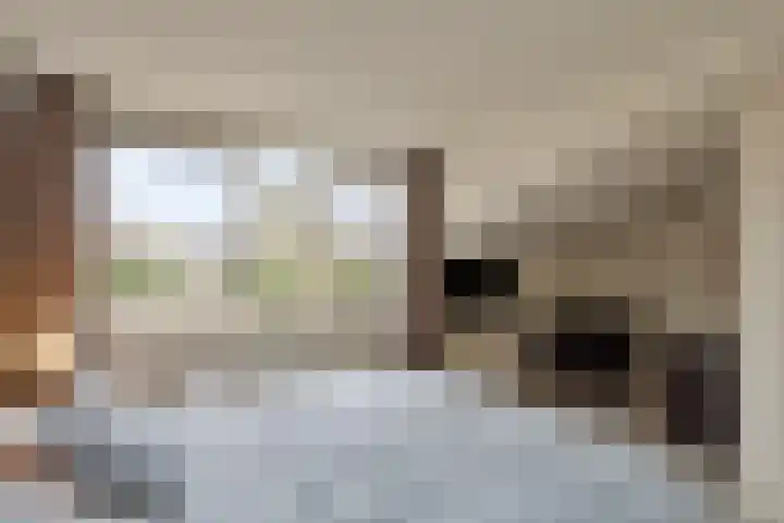Meester de Groetlaan 3 's-Hertogenbosch thumbnail 26