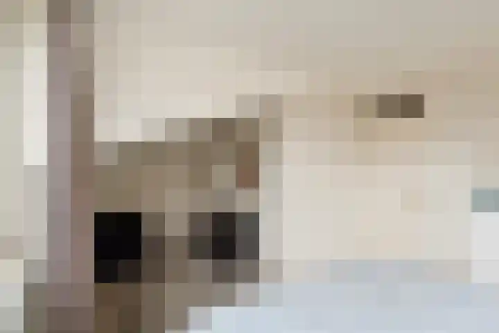 Meester de Groetlaan 3 's-Hertogenbosch thumbnail 27