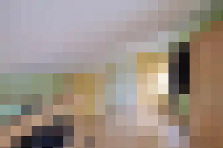 Meester de Groetlaan 3 's-Hertogenbosch thumbnail 31
