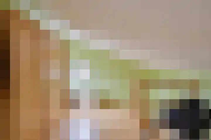 Meester de Groetlaan 3 's-Hertogenbosch thumbnail 32