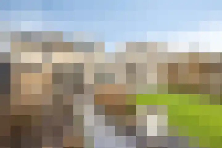 Meester de Groetlaan 3 's-Hertogenbosch thumbnail 33