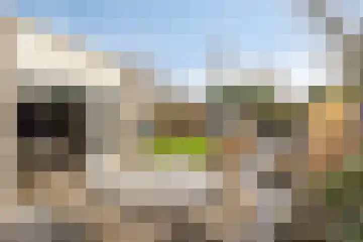 Meester de Groetlaan 3 's-Hertogenbosch thumbnail 35