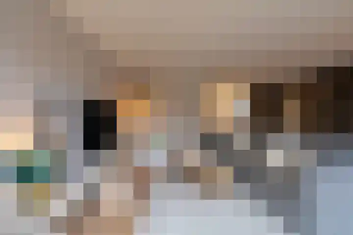 Meester de Groetlaan 3 's-Hertogenbosch thumbnail 4